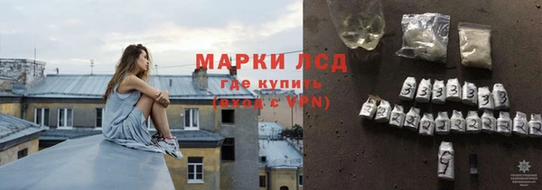гидра Алексеевка