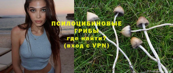 гидра Алексеевка