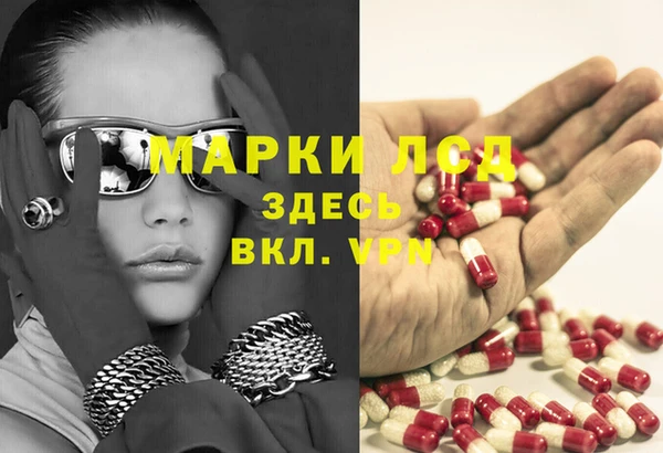 гидра Алзамай